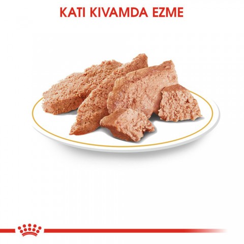 Royal Canin Chihuahua Yetişkin Yaş Köpek Mama Pouch 85 gr