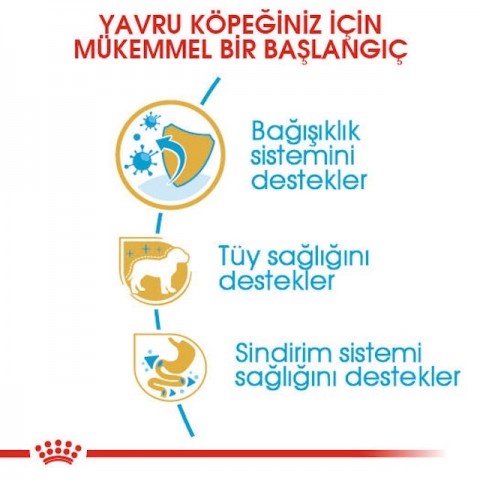 Royal Canin Poodle Puppy Yavru Köpek Maması 3 Kg