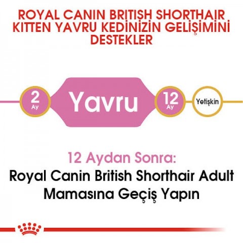 Royal Canin British Shorthair Yavru Kedi Maması - 2 Kg
