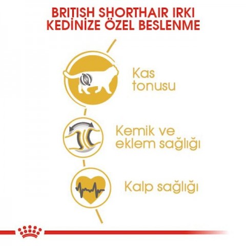 Royal Canin British Shorthair Yetişkin Kedi Maması - 10 Kg