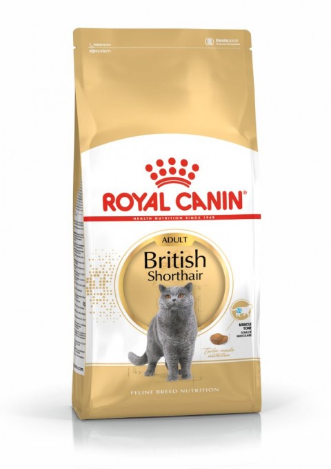 Royal Canin British Shorthair Adult Yetişkin Kedi Maması 10 Kg