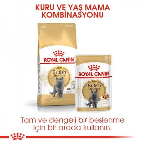 Royal Canin British Shorthair Yetişkin Kedi Maması - 4 Kg