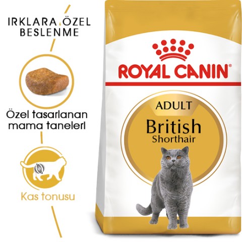Royal Canin British Shorthair Adult Yetişkin Kedi Maması 4 Kg