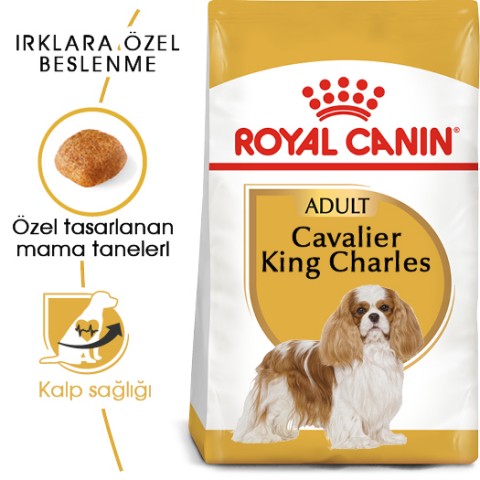 Royal Canin Cavalier King Charles Adult Yetişkin Köpek Maması 1,5 Kg