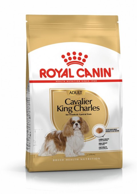 Royal Canin Cavalier King Charles Adult Yetişkin Köpek Maması 3 Kg