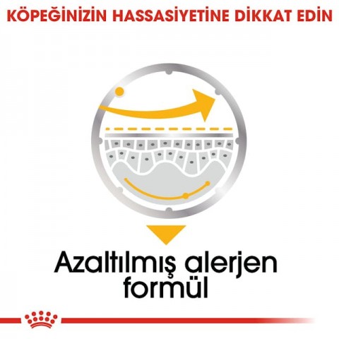 Royal Canin CCN Dermacomfort Loaf Pouch Köpek Konserve Yaş Mama 85 Gr