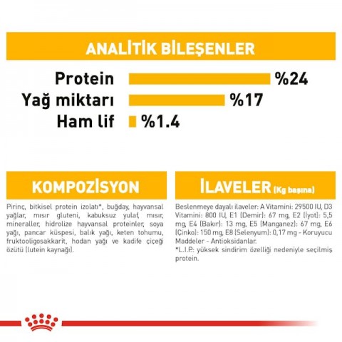 Royal Canin Medium Dermacomfort Adult Yetişkin Köpek Maması 12 Kg