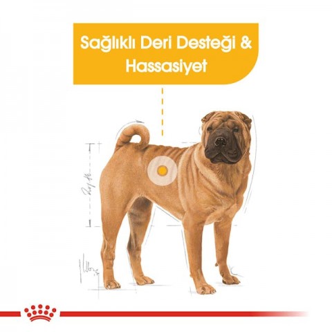 Royal Canin Medium Dermacomfort Adult Yetişkin Köpek Maması 12 Kg