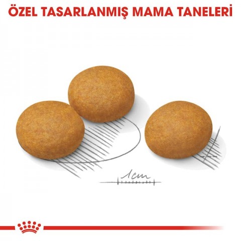 Royal Canin Medium Dermacomfort Adult Yetişkin Köpek Maması 12 Kg