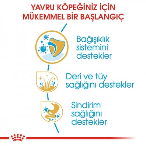 Royal Canin Cocker Junior Puppy Yavru Köpek Maması 3 Kg