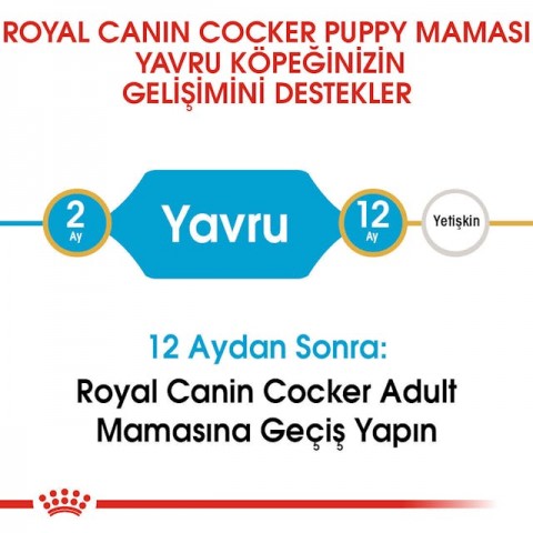 Royal Canin Cocker Junior Köpek Maması - 3 Kg