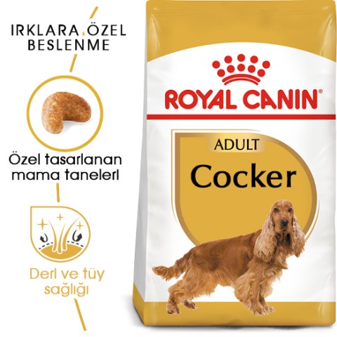 Royal Canin Cocker Adult Yetişkin Köpek Maması 3 Kg