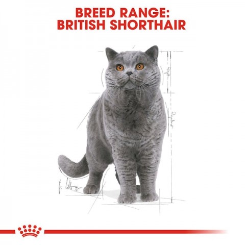 Royal Canin British Shorthair Yaş Kedi Maması Pouch 85gr
