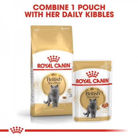 Royal Canin British Shorthair Yaş Kedi Maması Pouch 85gr