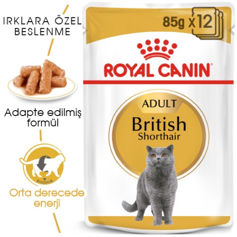 Royal Canin British Shorthair Yaş Kedi Maması Pouch 85gr