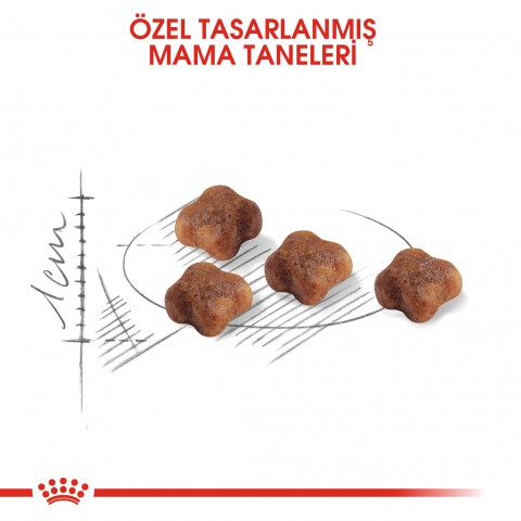 Royal Canin Mother & Babycat Anne ve Yavru Kedi Maması 4 Kg