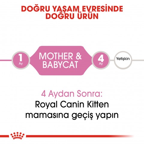 Royal Canin Fhn Babycat Yavru Kedi Maması - 4 Kg