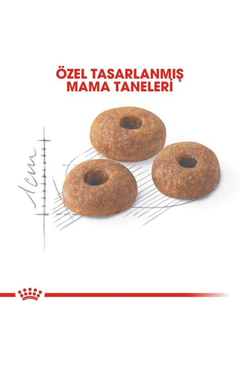 Royal Canin Fit 32 Kedi Maması 15 Kg