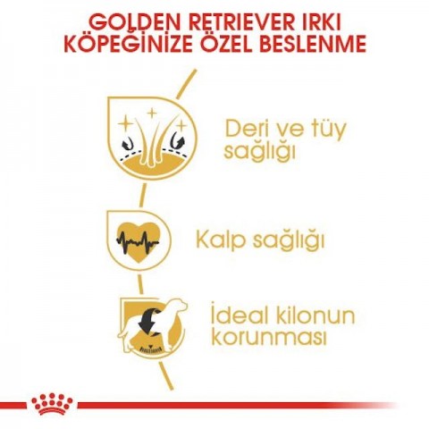 Royal Canin Golden Retriever Köpek Maması - 12 Kg