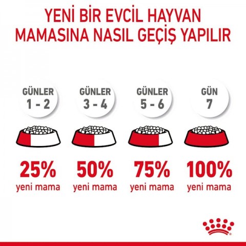 Royal Canin Hair & Skin Care Yetişkin Kedi Maması 2 Kg - Tüy ve Deri Sağlığı İçin Özel Formül Royal Canin Hair & Skin Care Yetişkin Kedi Maması 2 Kg - Tüy ve Deri Sağlığı İçin Özel Formül
