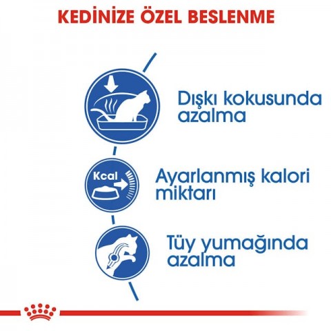 Royal Canin Indoor 27 Ev Kedileri İçin Yetişkin Kedi Maması 2 Kg Royal Canin Indoor 27 Ev Kedileri İçin Yetişkin Kedi Maması 2 Kg