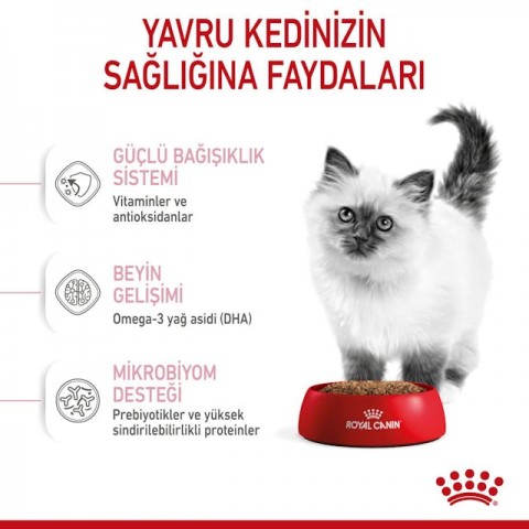 Royal Canin Kitten Yavru Kedi Maması - 2 Kg