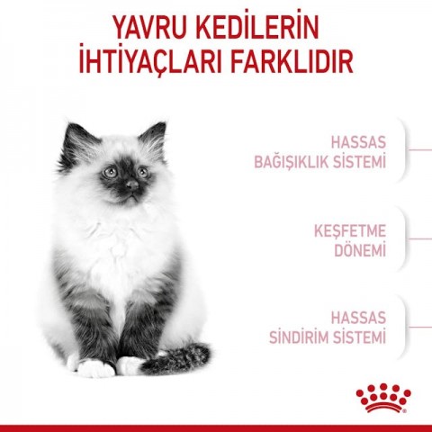 Royal Canin Kitten Yavru Kedi Maması 2 Kg Royal Canin Kitten Yavru Kedi Maması 2 Kg