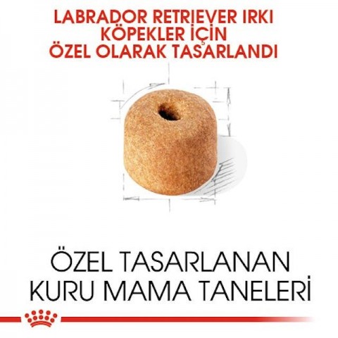 Royal Canin Labrador Retriever Adult Yetişkin Köpek Maması 12 Kg
