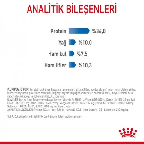 Royal Canin Light Weight Care Diyet Kedi Maması 8 Kg Royal Canin Light Weight Care Diyet Kedi Maması 8 Kg