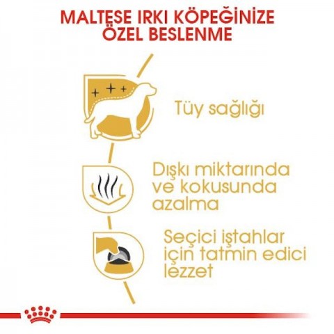 Royal Canin Maltese Adult Yetişkin Köpek Maması 1,5 Kg
