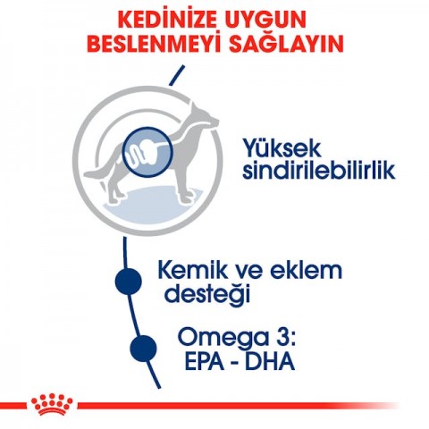 Royal Canin Maxi Adult Büyük Irk Yetişkin Köpekler İçin Parça Etli Konserve Mama 140 Gr