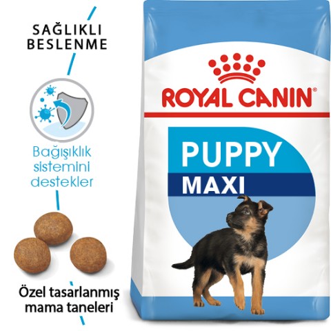 Royal Canin Maxi Puppy Büyük Irk Yavru Köpek Maması 15 Kg.