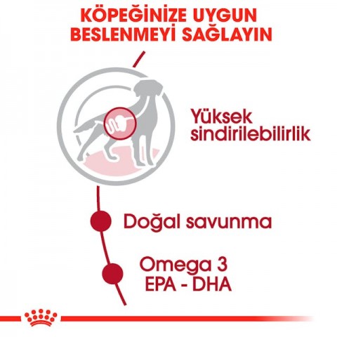 Royal Canin Medium Adult Orta Irk Yetişkin Köpekler İçin Parça Etli Konserve Yaş Mama Pouch 140 Gr