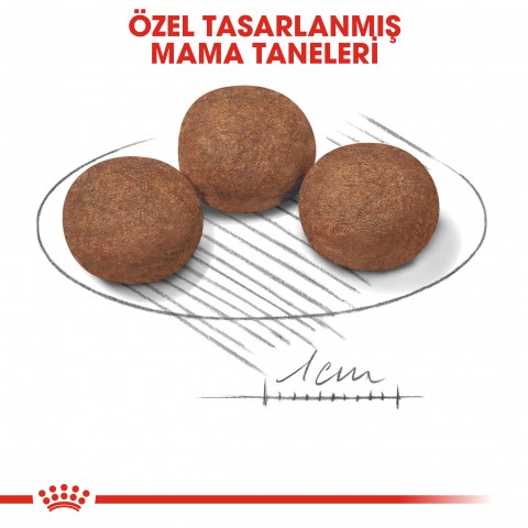 Royal Canin Medium Puppy Orta Irk Yavru Köpek Maması 15 Kg