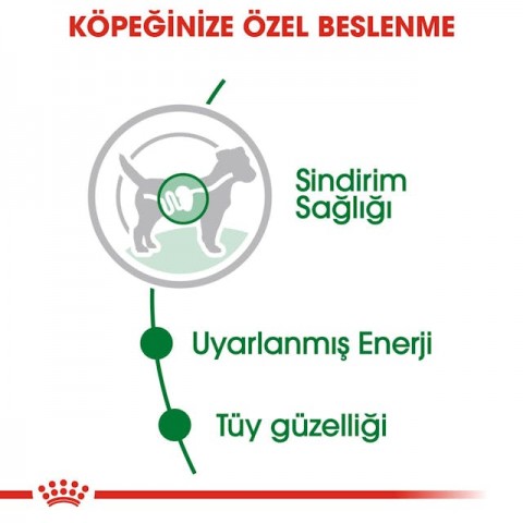 Royal Canin Mini Adult Gravy Küçük Irk Yetişkin Pouch Köpek Konserve Yaş Maması 85 Gr