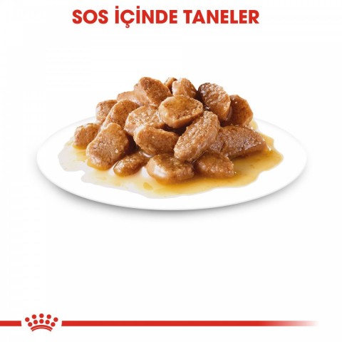Royal Canin Mini Ageing 12+ Gravy Pouch Yaşlı Köpek Konserve Yaş Mama 85 Gr