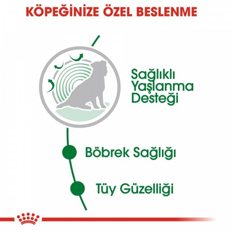 Royal Canin Mini Ageing 12+ Gravy Pouch Yaşlı Köpek Konserve Yaş Mama 85 Gr