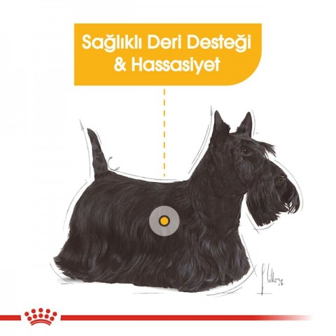 Royal Canin Mini Dermacomfort Köpek Maması-3Kg