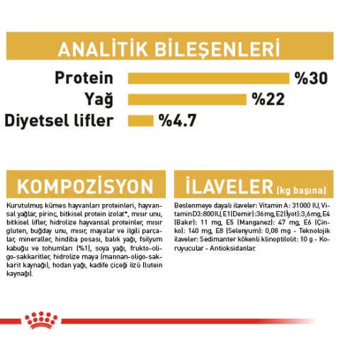Royal Canin Persian Adult Yetişkin İran Kedi Maması 2 Kg