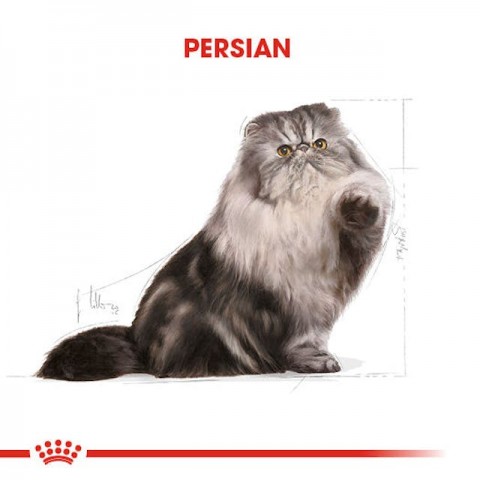 Royal Canin Persian Yetişkin Kedi Maması - 4 Kg