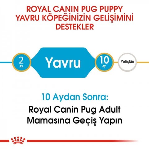 Royal Canin Pug Junior Köpek Maması - 1,5 Kg
