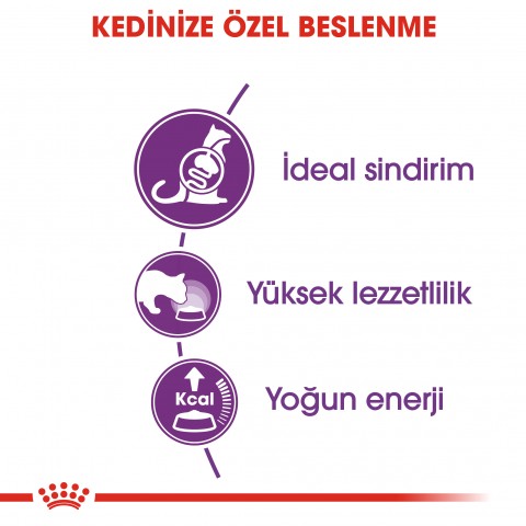 Royal Canin Sensible 33 Hassas Sindirim Sistemli Yetişkin Kedi Maması 4 Kg