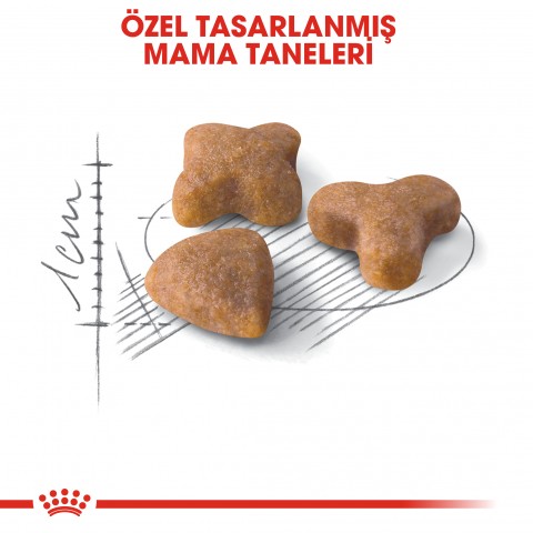 Royal Canin Sensible 33 Hassas Sindirim Sistemli Yetişkin Kedi Maması 4 Kg