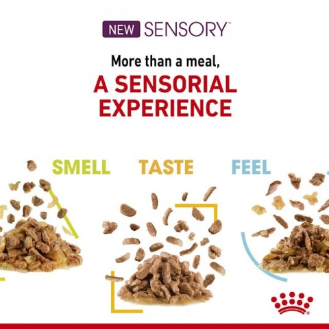 Royal Canin Sensory Taste Gravy Pouch Kedi Konserve Yaş Maması 85 Gr