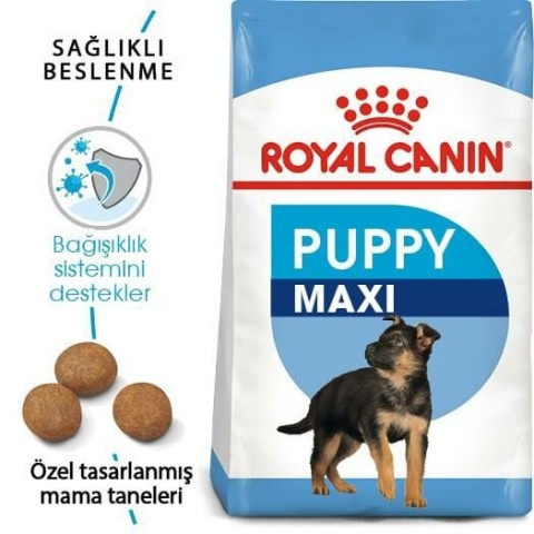 Royal Canin Maxi Puppy Büyük Irk Yavru Köpek Maması 10 Kg