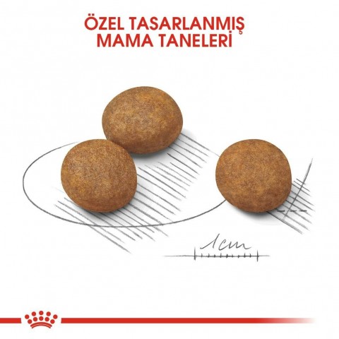 Royal Canin Maxi Puppy Büyük Irk Yavru Köpek Maması 10 Kg