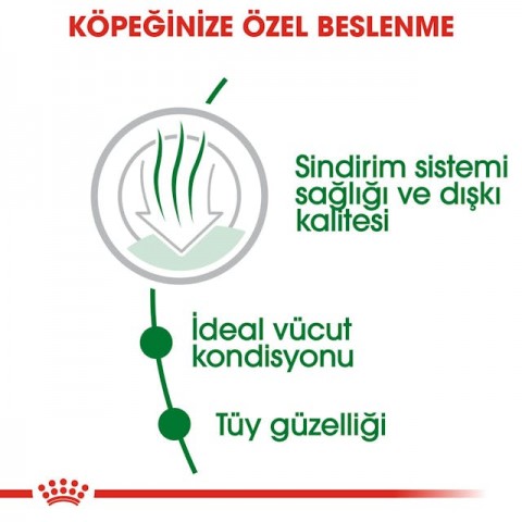 Royal Canin Mini Indoor Adult Küçük Irk Yetişkin Köpek Maması 1,5 Kg