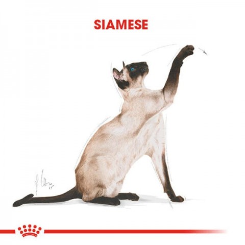 Royal Canin Siamese Siyam Kedilerine Özel Mama 2 Kg