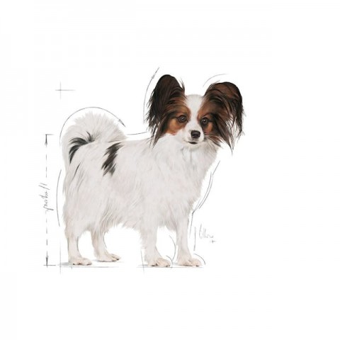 Royal Canin X-Small Adult Küçük Irk Yetişkin Köpek Maması 3 Kg