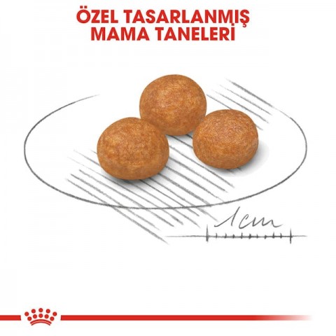 Royal Canin X-Small Adult Küçük Irk Yetişkin Köpek Maması 3 Kg